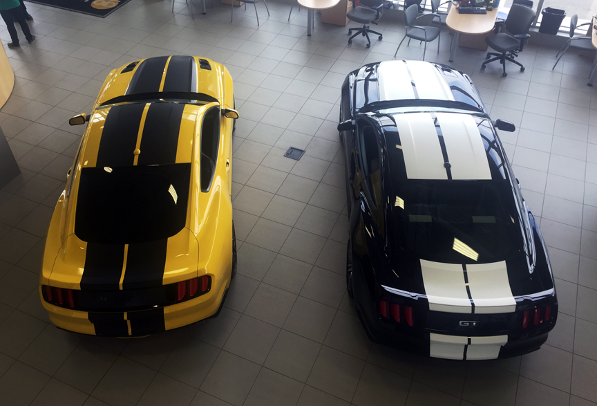 GT Shock Stripe Package